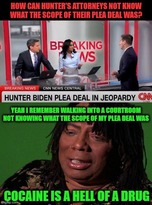 See I never Just Did Things to Do Them, Come On, I've Got a Little More Sense Than That | HOW CAN HUNTER'S ATTORNEYS NOT KNOW WHAT THE SCOPE OF THEIR PLEA DEAL WAS? YEAH I REMEMBER WALKING INTO A COURTROOM NOT KNOWING WHAT THE SCOPE OF MY PLEA DEAL WAS; COCAINE IS A HELL OF A DRUG | image tagged in cocaine hell of a drug | made w/ Imgflip meme maker