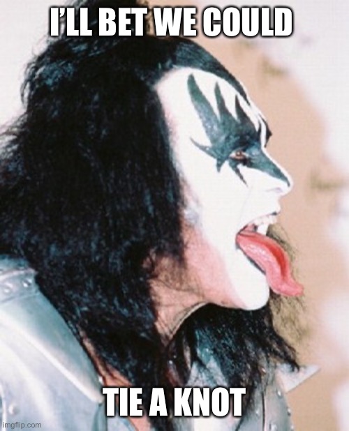 Gene Simmons profile tongue | I’LL BET WE COULD TIE A KNOT | image tagged in gene simmons profile tongue | made w/ Imgflip meme maker