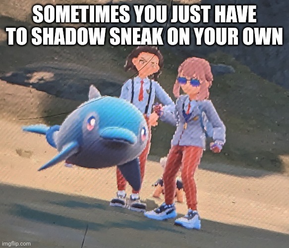 Mop | SOMETIMES YOU JUST HAVE TO SHADOW SNEAK ON YOUR OWN | image tagged in mop | made w/ Imgflip meme maker