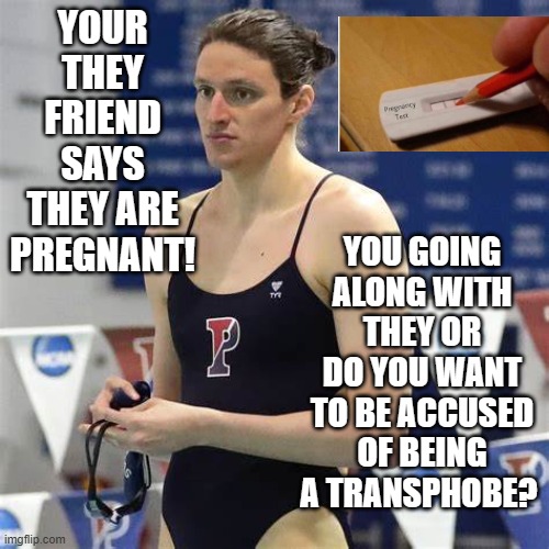 Your they friend says they are Pregnant. | YOUR THEY FRIEND SAYS THEY ARE PREGNANT! YOU GOING ALONG WITH THEY OR DO YOU WANT TO BE ACCUSED OF BEING A TRANSPHOBE? | image tagged in transphobic | made w/ Imgflip meme maker