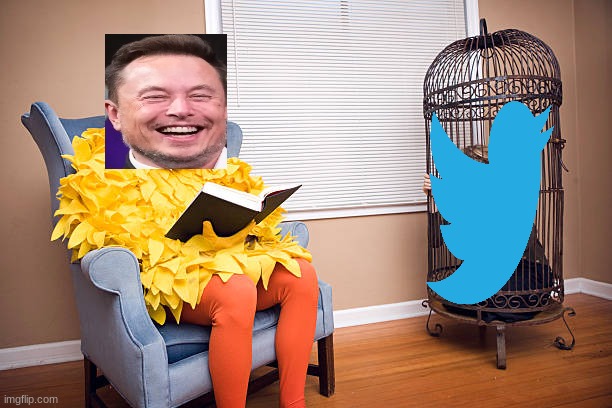 What happen to Twitter Bird | image tagged in elon musk,twitter | made w/ Imgflip meme maker