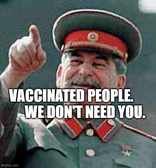 I see what you did there | VACCINATED PEOPLE.            WE DON'T NEED YOU. | image tagged in i see what you did there | made w/ Imgflip meme maker
