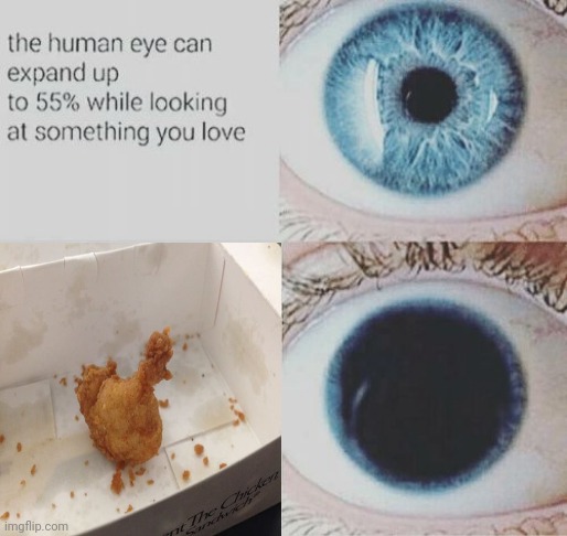 A chicken nugget that's shaped like an actual chicken | image tagged in eye pupil expand,chicken nugget,chicken,chicken nuggets,memes,chickens | made w/ Imgflip meme maker