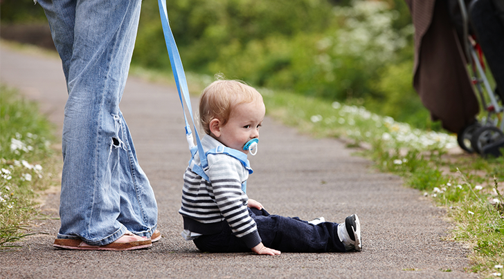 Leashed Baby Blank Meme Template
