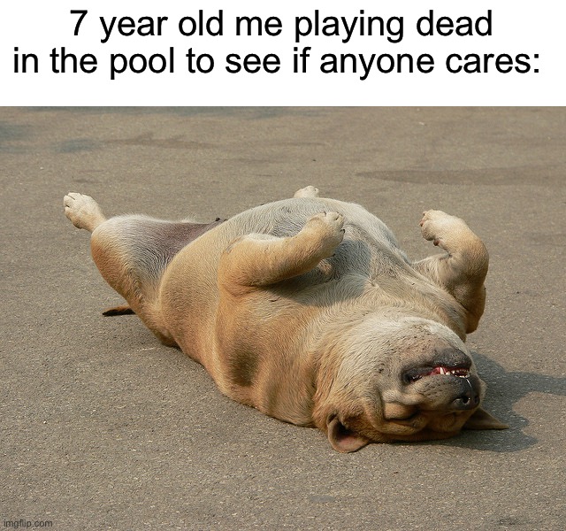 Who else did this? | 7 year old me playing dead in the pool to see if anyone cares: | image tagged in dog playing dead,memes,funny,relatable memes,true story,pool | made w/ Imgflip meme maker