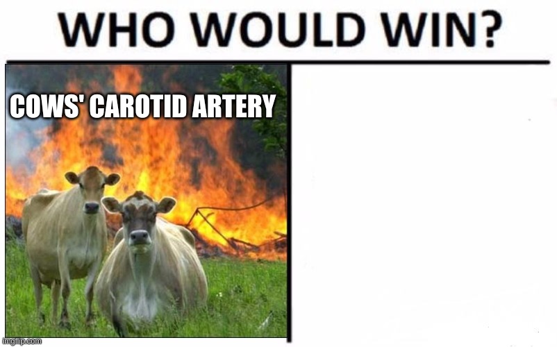 COWS' CAROTID ARTERY | image tagged in memes,who would win | made w/ Imgflip meme maker