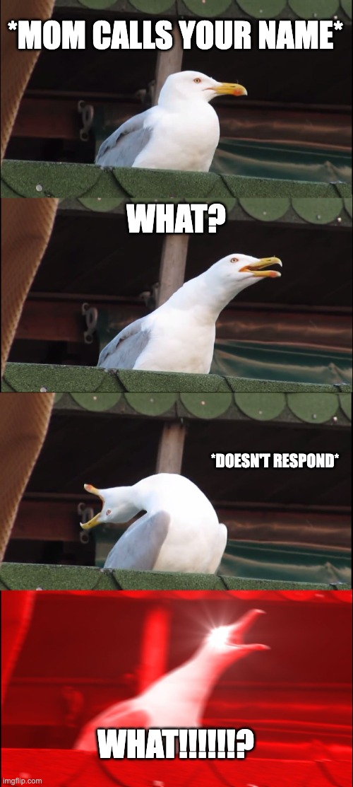 Inhaling Seagull | *MOM CALLS YOUR NAME*; WHAT? *DOESN'T RESPOND*; WHAT!!!!!!? | image tagged in memes,inhaling seagull | made w/ Imgflip meme maker