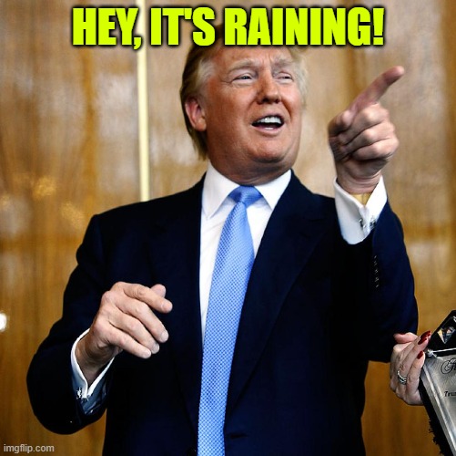 Donal Trump Birthday | HEY, IT'S RAINING! | image tagged in donal trump birthday | made w/ Imgflip meme maker