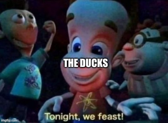 Tonight, we feast | THE DUCKS | image tagged in tonight we feast | made w/ Imgflip meme maker