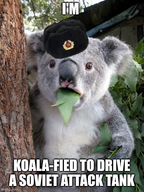Koala-fied to drive a Soviet attack tank | I'M; KOALA-FIED TO DRIVE A SOVIET ATTACK TANK | image tagged in memes,surprised koala,communism,jpfan102504 | made w/ Imgflip meme maker