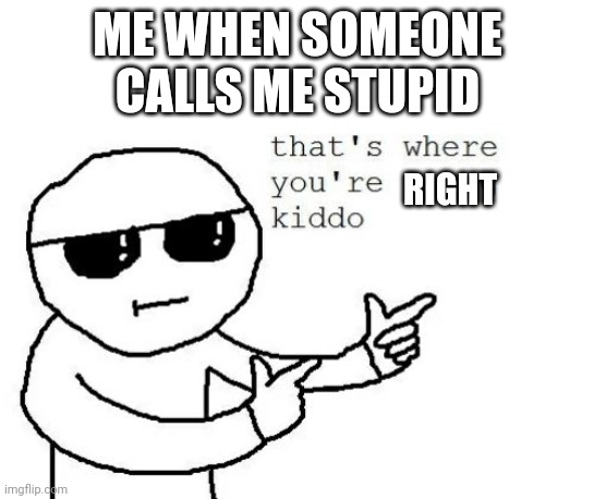 That's where you're wrong kiddo | ME WHEN SOMEONE CALLS ME STUPID; RIGHT | image tagged in that's where you're wrong kiddo | made w/ Imgflip meme maker