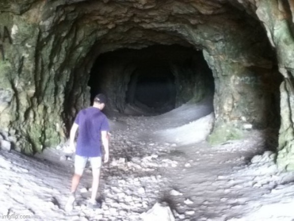 Walking into cave | image tagged in walking into cave | made w/ Imgflip meme maker