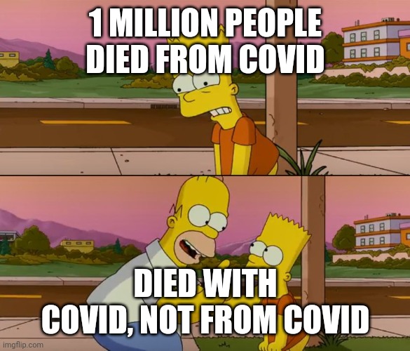 Simpsons so far | 1 MILLION PEOPLE DIED FROM COVID DIED WITH COVID, NOT FROM COVID | image tagged in simpsons so far | made w/ Imgflip meme maker