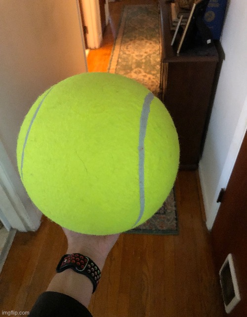 A giant tennis ball | image tagged in tennis,balls,absolute units,giant | made w/ Imgflip meme maker