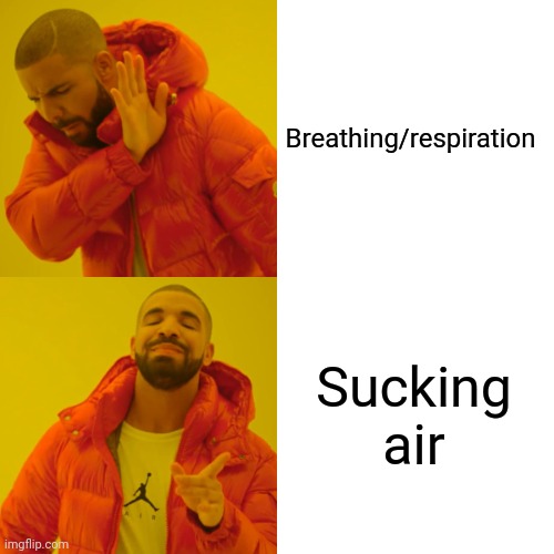 Sucking air | Breathing/respiration; Sucking air | image tagged in memes,drake hotline bling | made w/ Imgflip meme maker