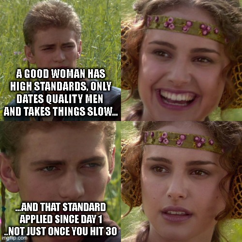Anakin Padme 4 Panel | A GOOD WOMAN HAS HIGH STANDARDS, ONLY DATES QUALITY MEN  AND TAKES THINGS SLOW... ...AND THAT STANDARD APPLIED SINCE DAY 1 ..NOT JUST ONCE YOU HIT 30 | image tagged in anakin padme 4 panel | made w/ Imgflip meme maker