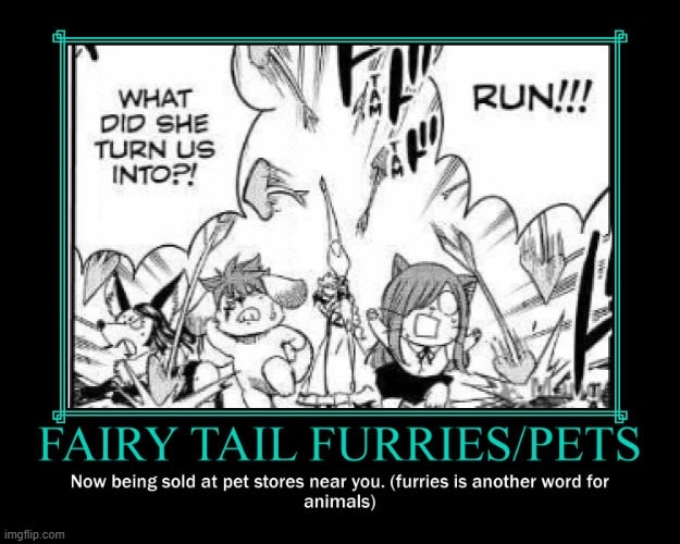 Get them at your local pet store, hurry, they're running out of these pets! | image tagged in fairy tail,fairy tail 100 years quest,memes,demotivationals,pet store,stores near you | made w/ Imgflip meme maker