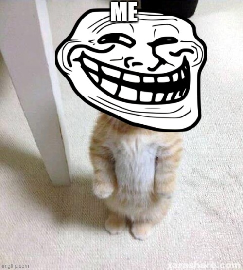 Cute Cat Meme | ME | image tagged in memes,cute cat | made w/ Imgflip meme maker