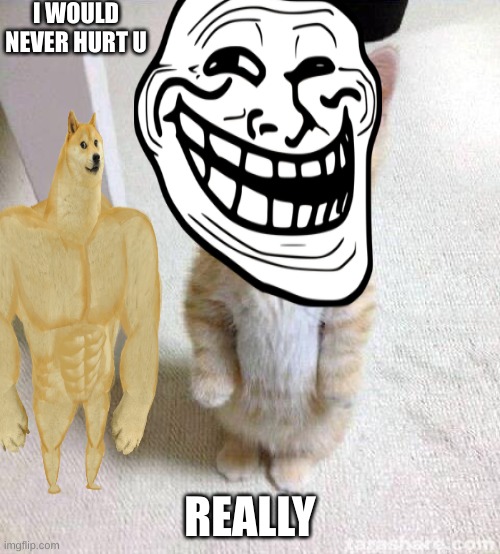 Cute Cat | I WOULD NEVER HURT U; REALLY | image tagged in memes,cute cat | made w/ Imgflip meme maker