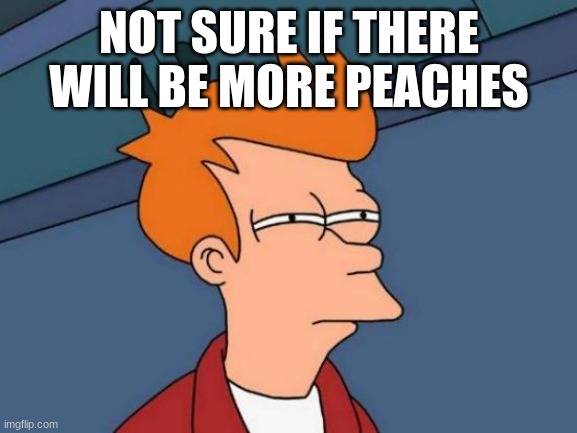 Whats up with that | NOT SURE IF THERE WILL BE MORE PEACHES | image tagged in memes,futurama fry | made w/ Imgflip meme maker