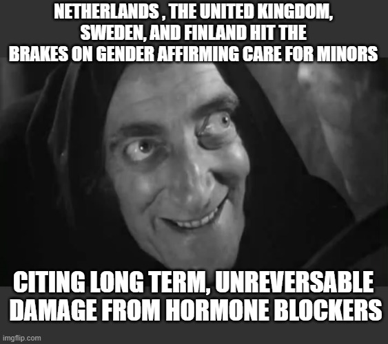 The country now emphasizes psychotherapy for minors with gender dysphoria instead | NETHERLANDS , THE UNITED KINGDOM, SWEDEN, AND FINLAND HIT THE BRAKES ON GENDER AFFIRMING CARE FOR MINORS; CITING LONG TERM, UNREVERSABLE  DAMAGE FROM HORMONE BLOCKERS | image tagged in mental illness,stupid liberals,lol,i told you,funny memes,truth | made w/ Imgflip meme maker