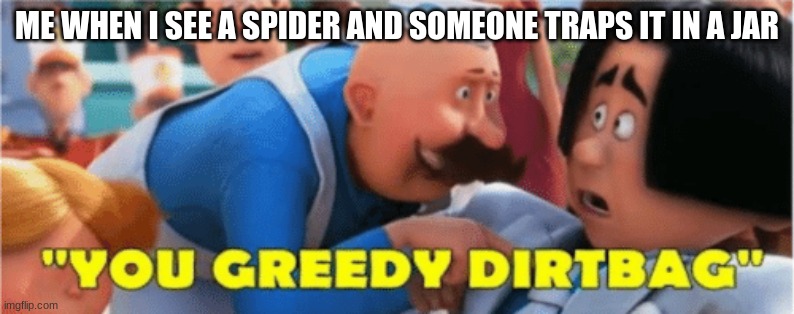 The spider is truly a greedy dirtbag | ME WHEN I SEE A SPIDER AND SOMEONE TRAPS IT IN A JAR | image tagged in lorax you greedy dirtbag | made w/ Imgflip meme maker