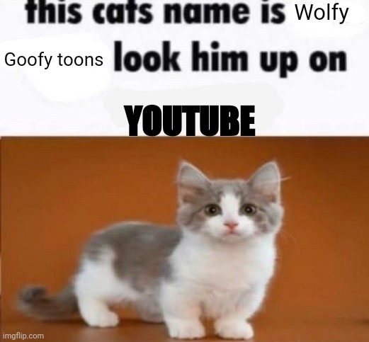 Look it up | Wolfy; Goofy toons; YOUTUBE | image tagged in this cats name is x look him up on google | made w/ Imgflip meme maker