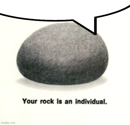 your rock is an induvidul. | image tagged in your rock is an induvidul | made w/ Imgflip meme maker