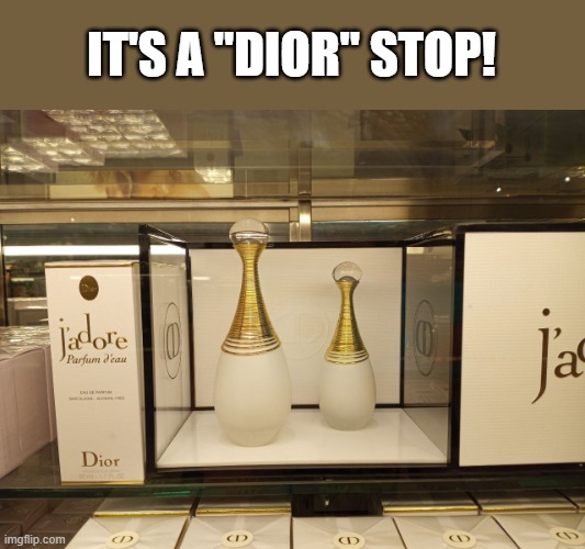 If it don't make no noise, it won't get the boys! | IT'S A "DIOR" STOP! | image tagged in diorstop | made w/ Imgflip meme maker