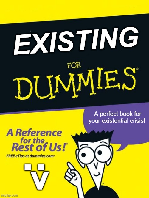 You'll thank me later | EXISTING; A perfect book for your existential crisis! :> | image tagged in for dummies book,existentialism,memes,funny,crisis,books | made w/ Imgflip meme maker