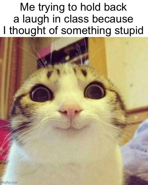 Smiling Cat | Me trying to hold back a laugh in class because I thought of something stupid | image tagged in memes,smiling cat,school,cat,funny,funny memes | made w/ Imgflip meme maker