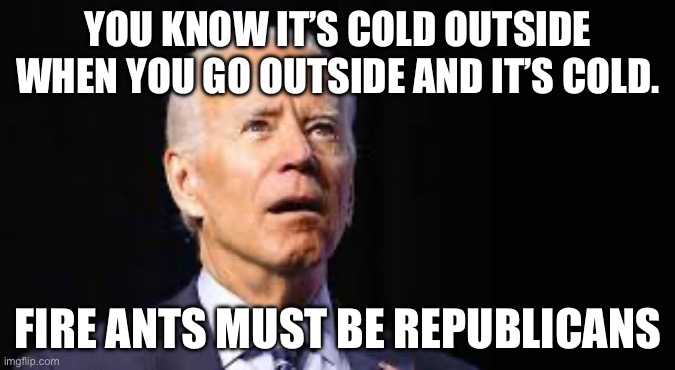 YOU KNOW IT’S COLD OUTSIDE WHEN YOU GO OUTSIDE AND IT’S COLD. FIRE ANTS MUST BE REPUBLICANS | image tagged in joe biden,stupid people,maga,republicans,donald trump | made w/ Imgflip meme maker