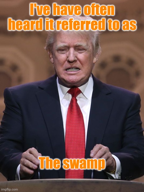 Donald Trump | I've have often heard it referred to as The swamp | image tagged in donald trump | made w/ Imgflip meme maker