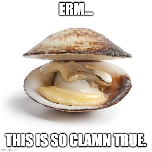 clam | ERM... THIS IS SO CLAMN TRUE. | image tagged in clam | made w/ Imgflip meme maker