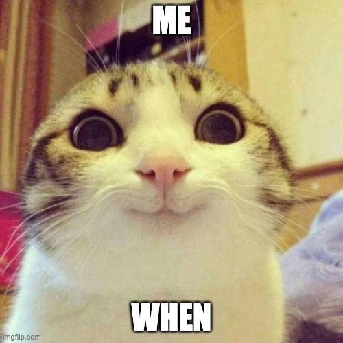Smiling Cat | ME; WHEN | image tagged in memes,smiling cat | made w/ Imgflip meme maker