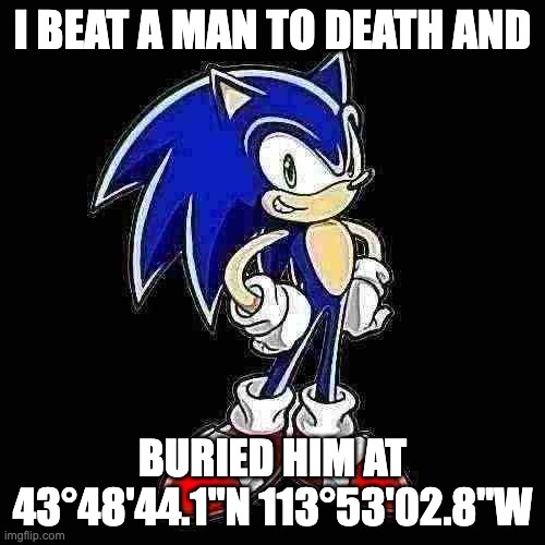 guyz chck ot my cooll memm | I BEAT A MAN TO DEATH AND; BURIED HIM AT 43°48'44.1"N 113°53'02.8"W | image tagged in memes,you're too slow sonic | made w/ Imgflip meme maker