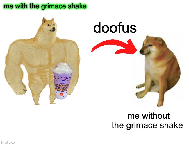 POV THE GRIMACE SHAKE: | me with the grimace shake; doofus; me without the grimace shake | image tagged in memes,buff doge vs cheems | made w/ Imgflip meme maker