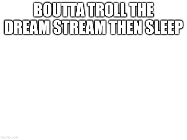 BOUTTA TROLL THE DREAM STREAM THEN SLEEP | image tagged in lol | made w/ Imgflip meme maker
