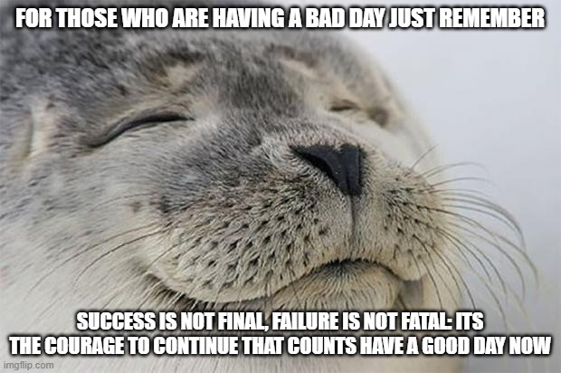 this meme is for those that are having a bad day | FOR THOSE WHO ARE HAVING A BAD DAY JUST REMEMBER; SUCCESS IS NOT FINAL, FAILURE IS NOT FATAL: ITS THE COURAGE TO CONTINUE THAT COUNTS HAVE A GOOD DAY NOW | image tagged in memes,satisfied seal | made w/ Imgflip meme maker