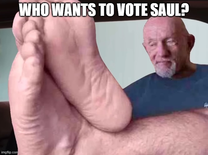 Waltuh i just ratiod you waltuh | WHO WANTS TO VOTE SAUL? | image tagged in waltuh i just ratiod you waltuh | made w/ Imgflip meme maker