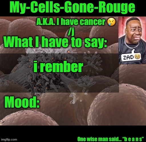 My-Cells-Gone-Rouge announcement | i rember | image tagged in my-cells-gone-rouge announcement | made w/ Imgflip meme maker