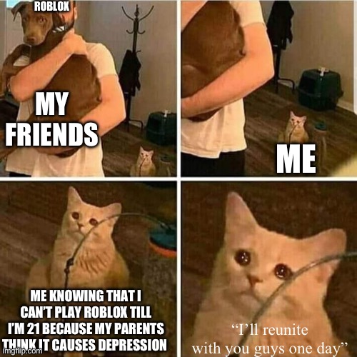 This is what it’s like and I hate it | ROBLOX; MY FRIENDS; ME; ME KNOWING THAT I CAN’T PLAY ROBLOX TILL I’M 21 BECAUSE MY PARENTS THINK IT CAUSES DEPRESSION; “I’ll reunite with you guys one day” | image tagged in sad cat holding dog,roblox,friends,parents | made w/ Imgflip meme maker