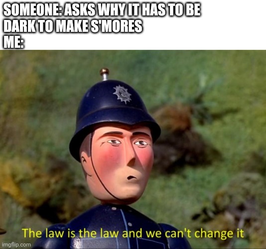 The law is the law and we can't change it | SOMEONE: ASKS WHY IT HAS TO BE 
DARK TO MAKE S'MORES
ME: | image tagged in the law is the law and we can't change it,camping,s'mores | made w/ Imgflip meme maker