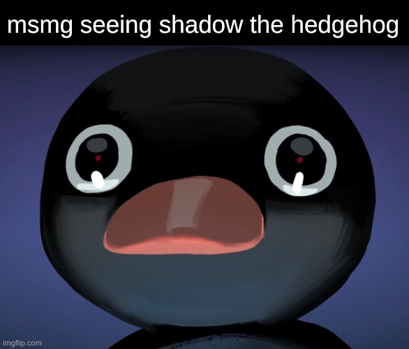 (my simping behavior most likely has ruined) | msmg seeing shadow the hedgehog | image tagged in pingu stare | made w/ Imgflip meme maker