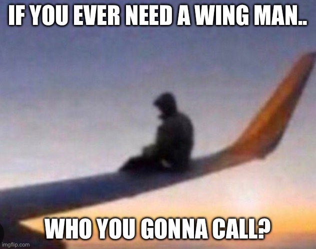 Meh | IF YOU EVER NEED A WING MAN.. WHO YOU GONNA CALL? | image tagged in funny memes | made w/ Imgflip meme maker