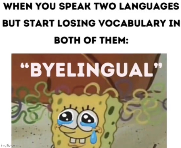As someone learning multiple languages this is very true | made w/ Imgflip meme maker