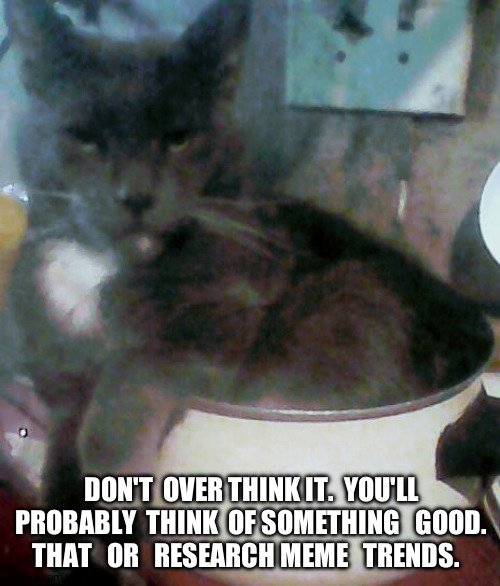 Swag cat | DON'T  OVER THINK IT.  YOU'LL PROBABLY  THINK  OF SOMETHING   GOOD. THAT   OR   RESEARCH MEME   TRENDS. | image tagged in swag cat | made w/ Imgflip meme maker