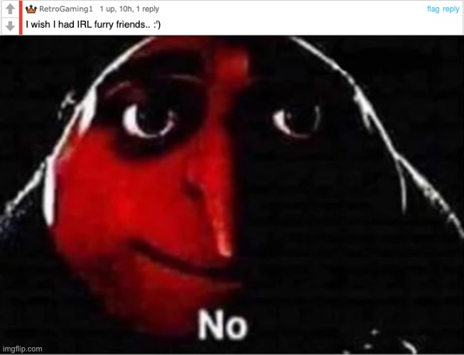 No wonder lmfao | image tagged in gru no | made w/ Imgflip meme maker