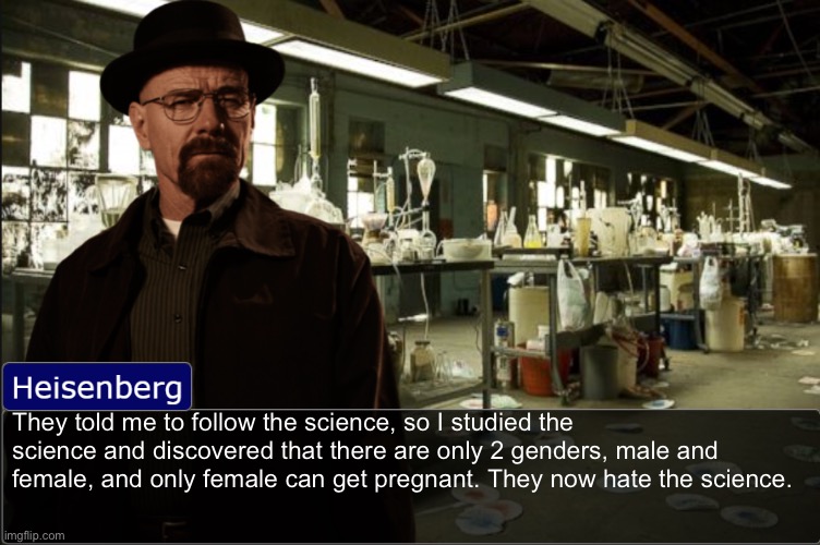 Heisenberg objection template | They told me to follow the science, so I studied the science and discovered that there are only 2 genders, male and female, and only female can get pregnant. They now hate the science. | image tagged in heisenberg objection template | made w/ Imgflip meme maker
