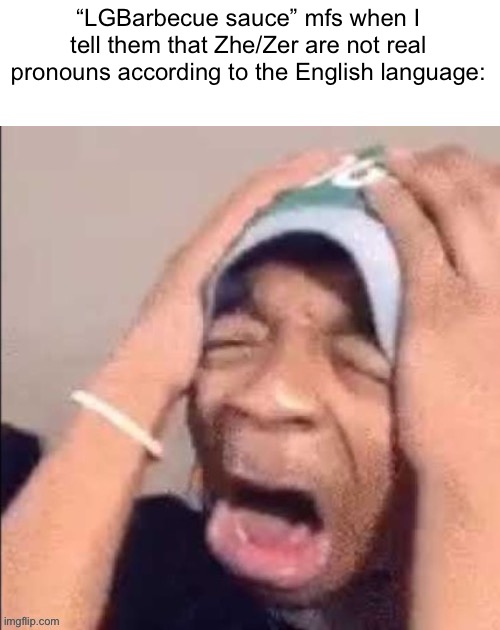 the | “LGBarbecue sauce” mfs when I tell them that Zhe/Zer are not real pronouns according to the English language: | image tagged in the | made w/ Imgflip meme maker